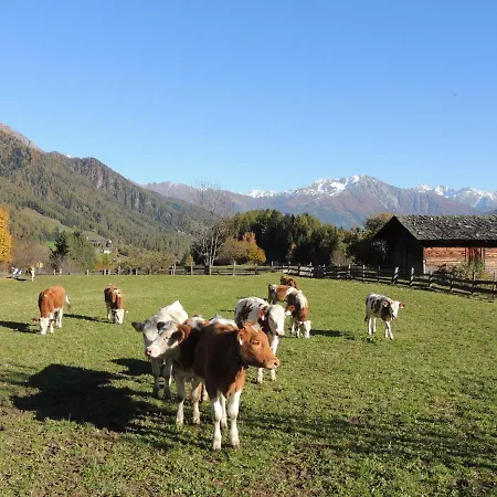Pensjonat Gaestehaus Taner Virgen