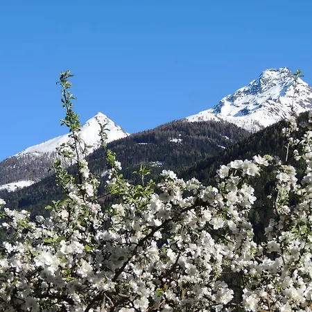 Gaestehaus Taner Gasthof